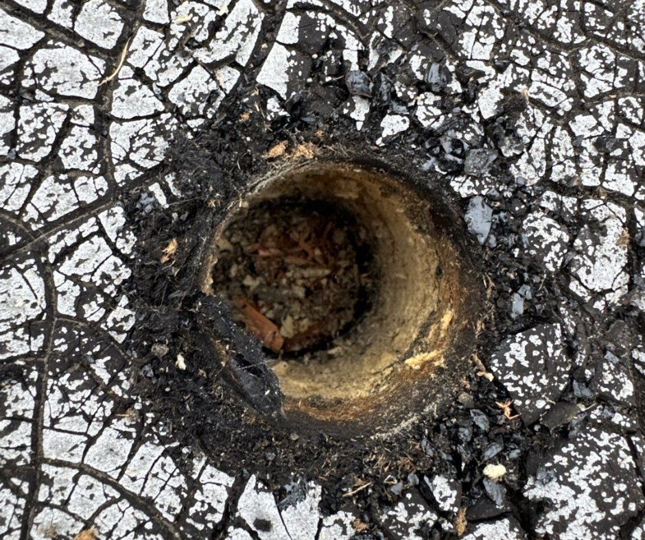 Deteriorating rubber roof.
