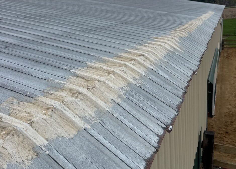 Year-Round Commercial Roof Maintenance Schedule